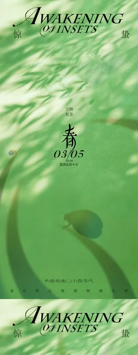 惊蛰二十四传统节气海报