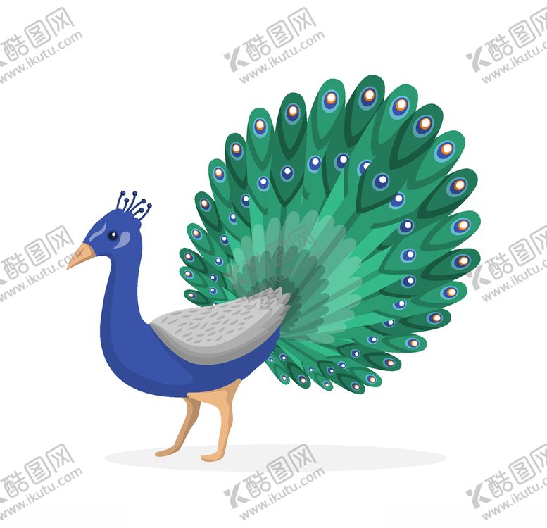 编号：97757406260939381997【酷图网】源文件下载-孔雀