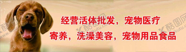 编号：32311204072004298576【酷图网】源文件下载-宠物店门头