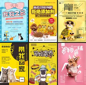 宠物店海报