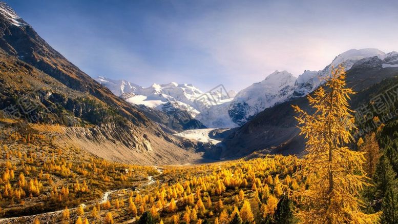 编号：74113609271632169641【酷图网】源文件下载-森林