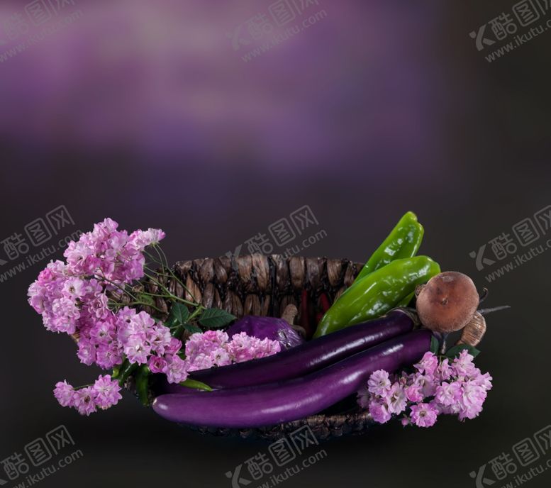 编号：72473110010041277622【酷图网】源文件下载-影楼摄影