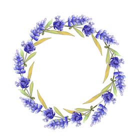 薰衣草边框