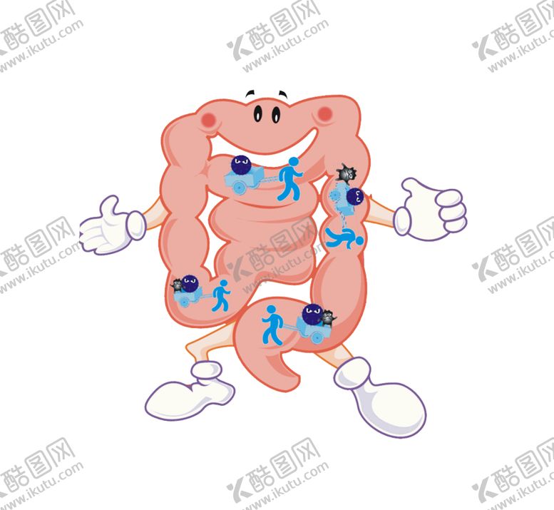 编号：20545109300254402740【酷图网】源文件下载-肠胃