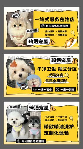 宠物banner