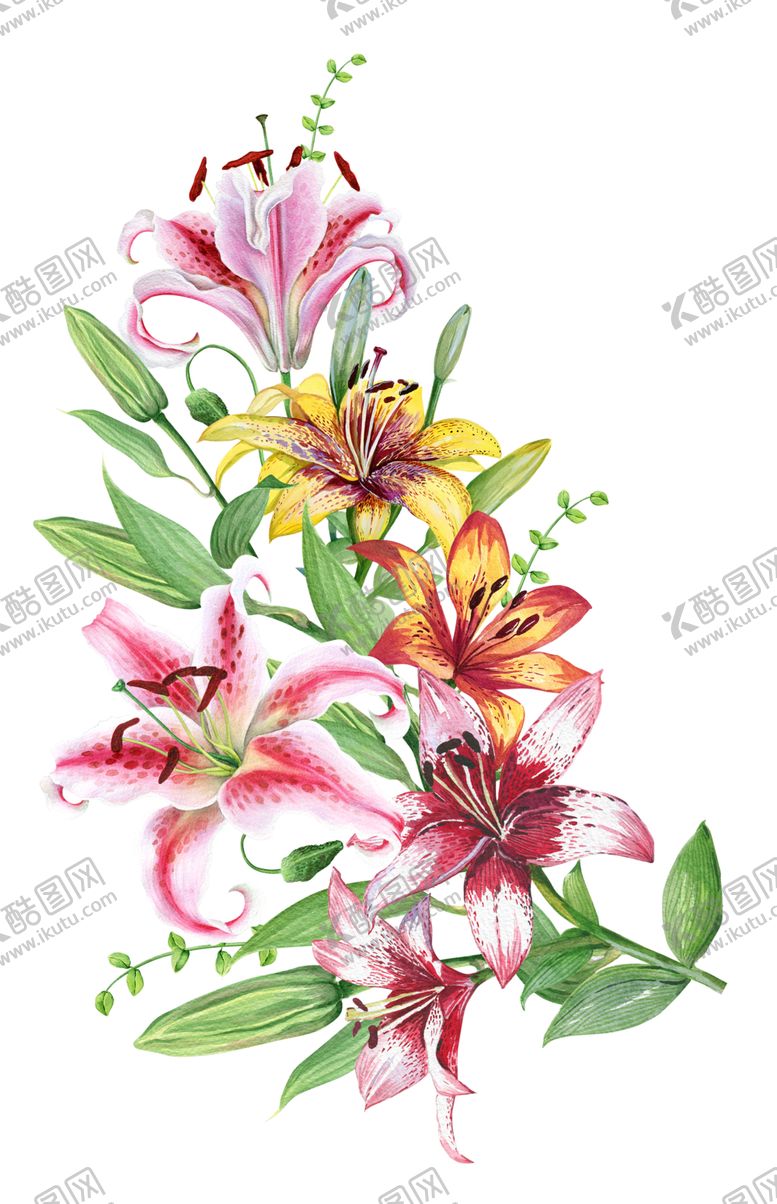 编号：65200410271316501483【酷图网】源文件下载-手绘花草牡丹花园元素素材