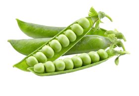 豌豆