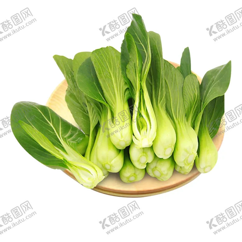 编号：57990703280228199894【酷图网】源文件下载-小白菜上海青