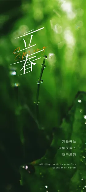 立春海报分微信手机分节气