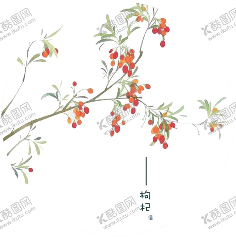 编号：32316209160941374775【酷图网】源文件下载-手绘枸杞