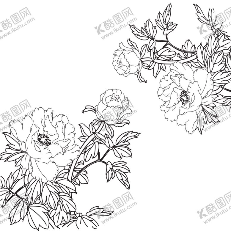 编号：31366806251655269394【酷图网】源文件下载-牡丹花