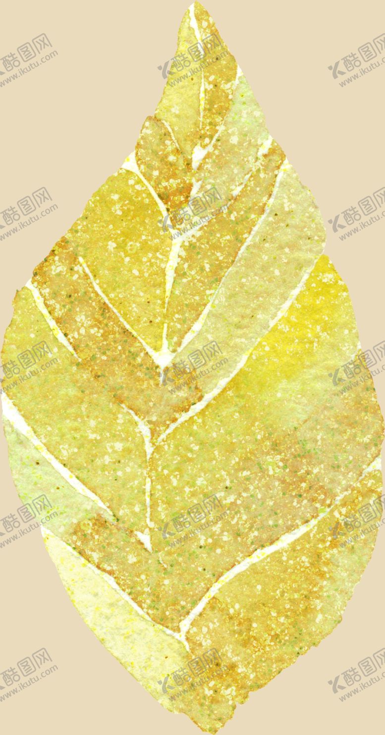 编号：59382910240823283145【酷图网】源文件下载-叶子