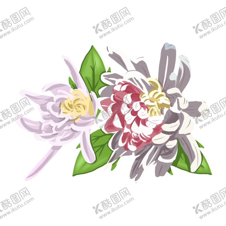 编号：59253207050712384933【酷图网】源文件下载-菊花