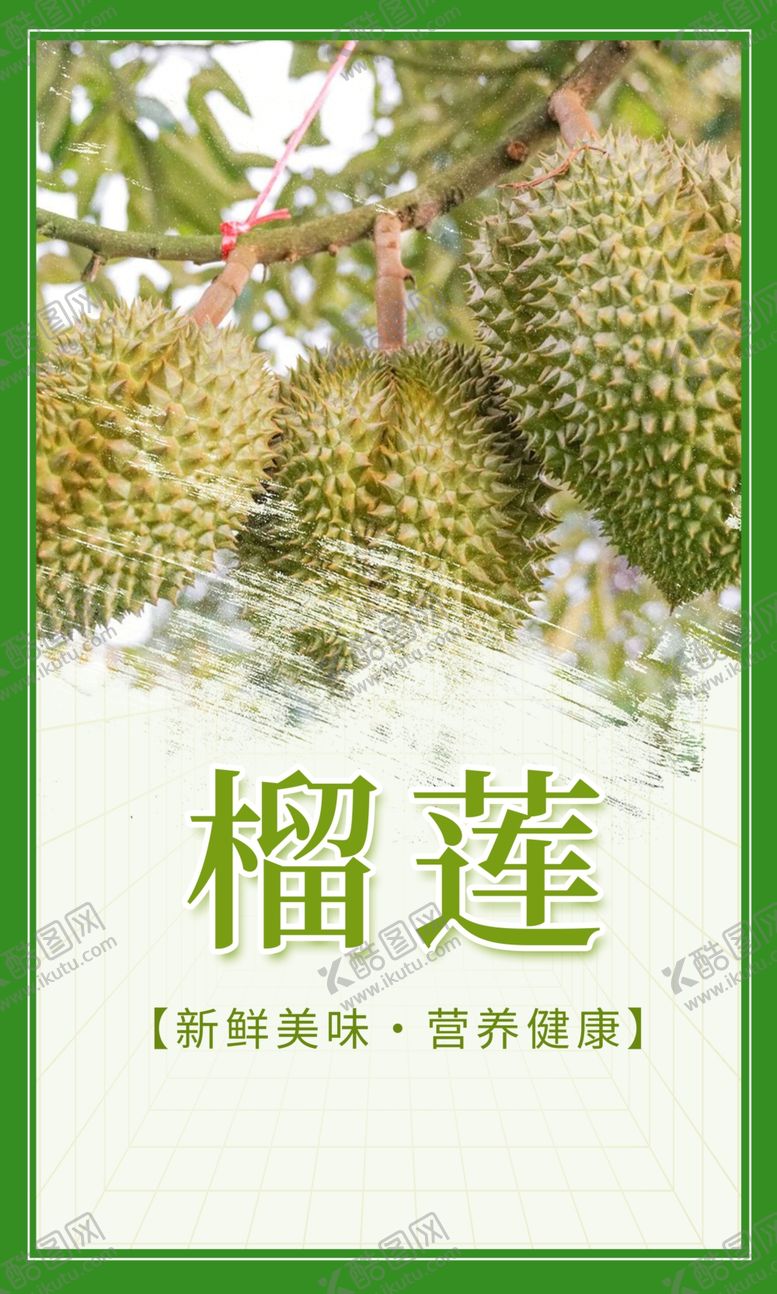 编号：90818412050242053143【酷图网】源文件下载-榴莲插画