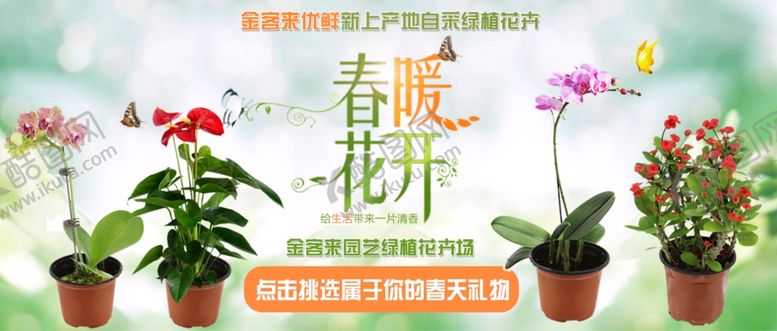 编号：10094906290633172592【酷图网】源文件下载-超市绿植花卉宣传海报