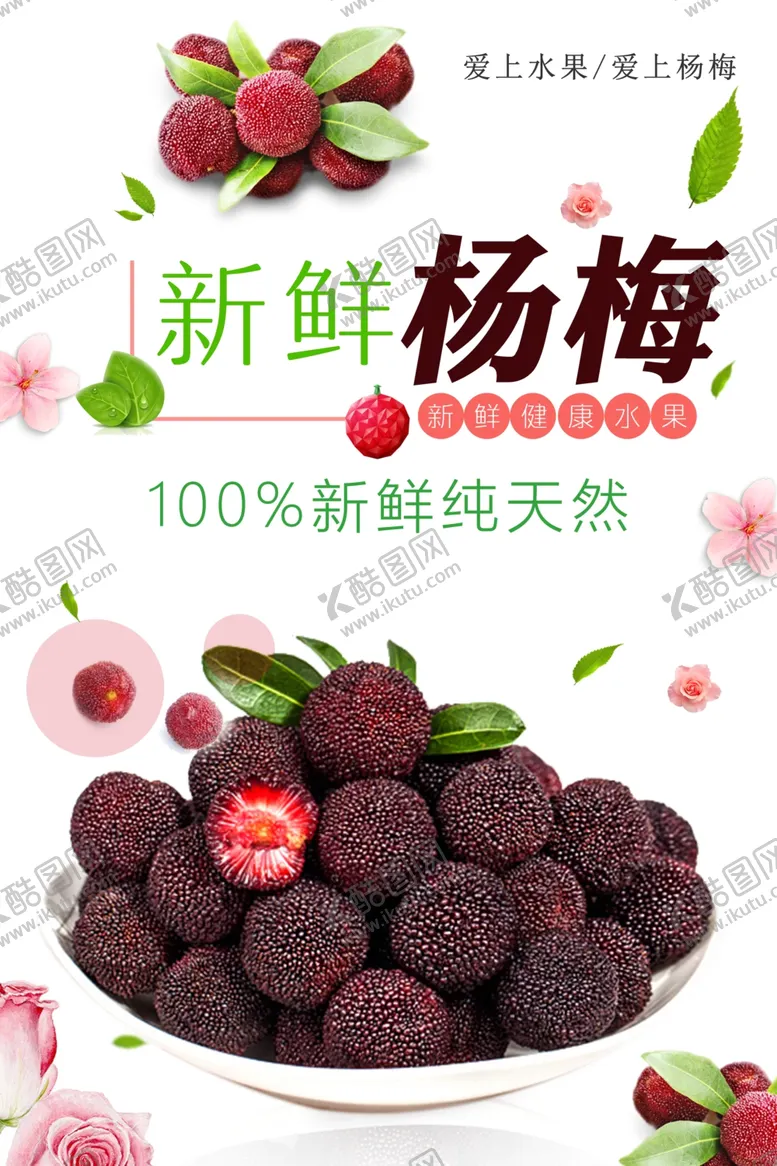 编号：76222501282329018319【酷图网】源文件下载-杨梅