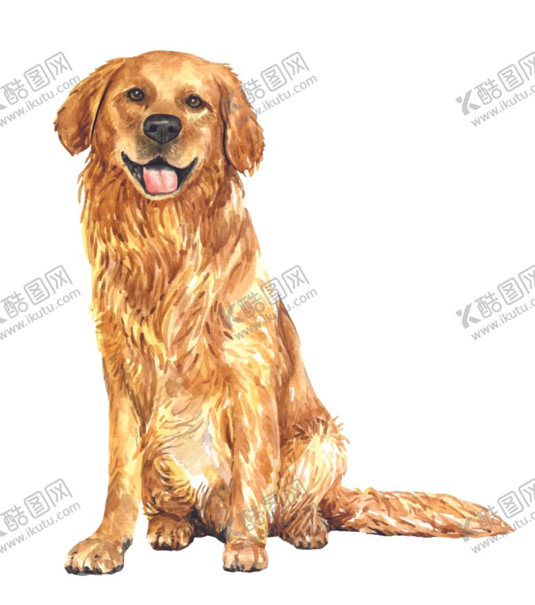 编号：53622009190354021011【酷图网】源文件下载-水彩动物