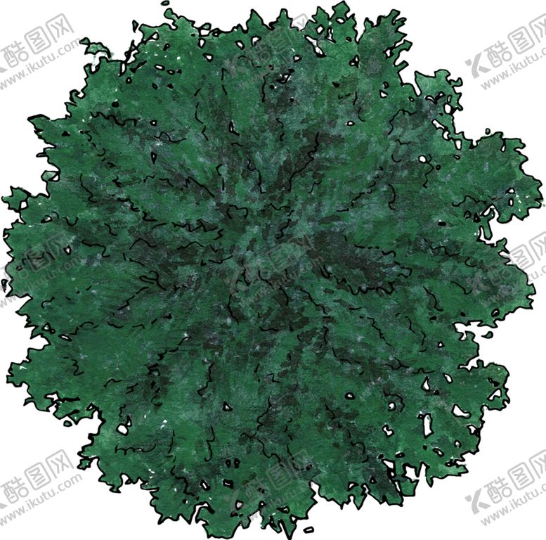 编号：47420309232334148630【酷图网】源文件下载-手绘植物