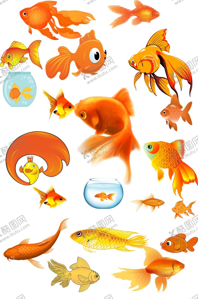 编号：95238209230122198518【酷图网】源文件下载-金鱼免抠素材