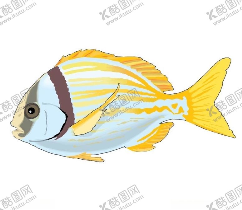 编号：57570810161414462267【酷图网】源文件下载-大鱼