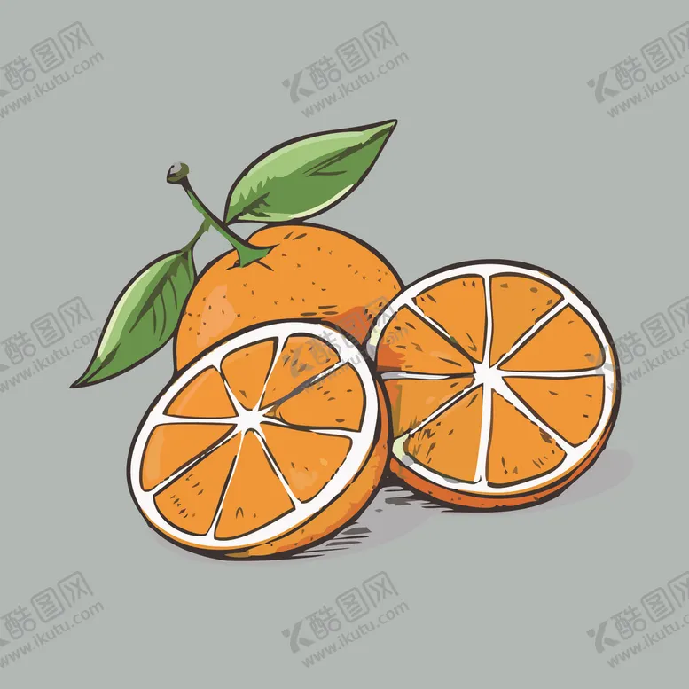 编号：84388902040047539843【酷图网】源文件下载-橙子水果手绘矢量插画