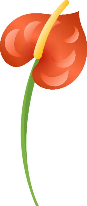 写实花卉水彩朵素材鲜漂亮手绘