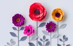 花开富贵
