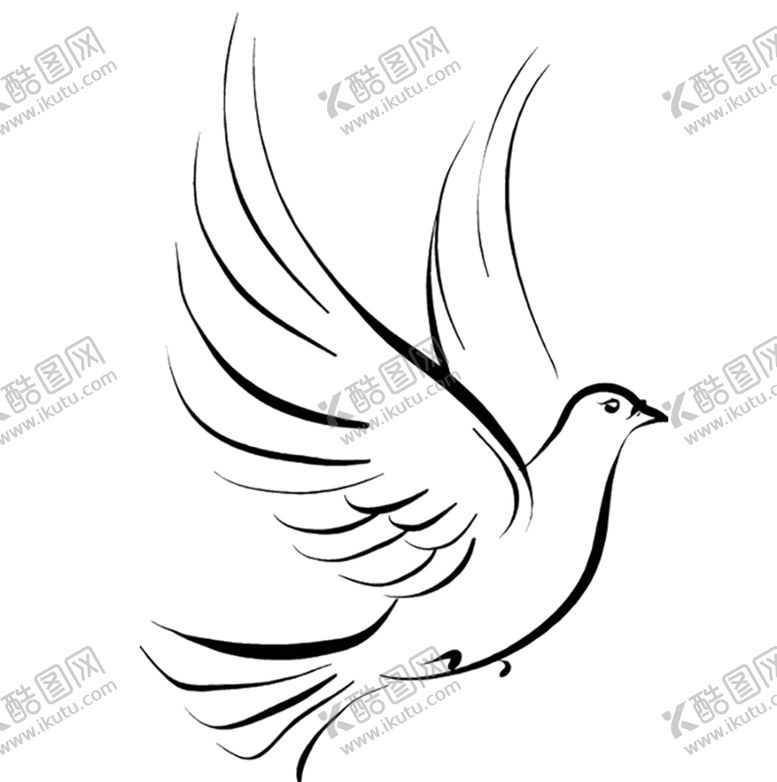 编号：92043410122001105009【酷图网】源文件下载-鸽子