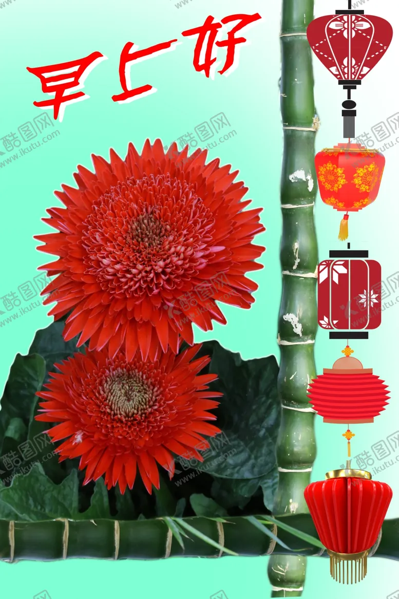 编号：97519810042218534929【酷图网】源文件下载-非洲菊