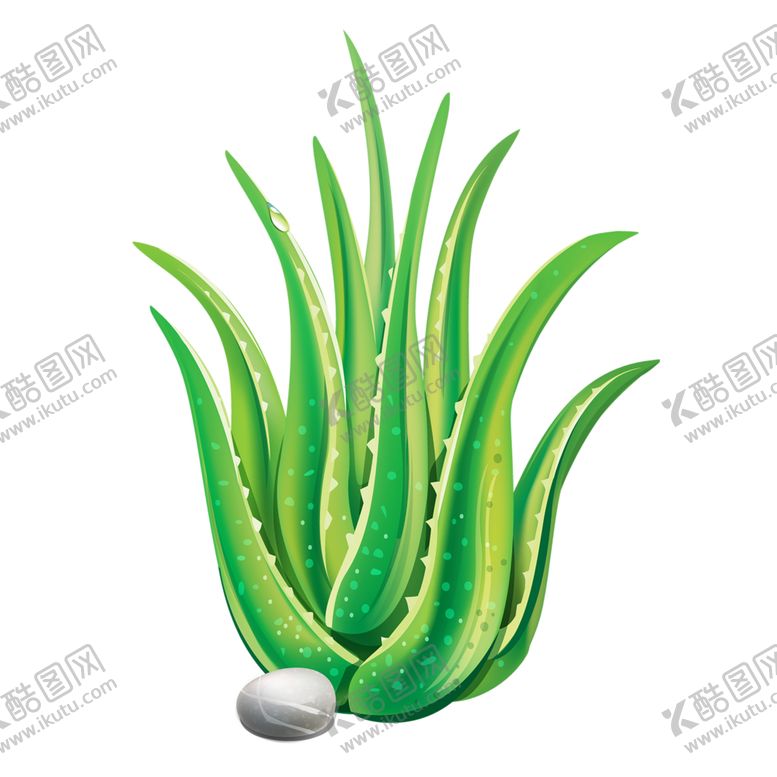 编号：12503110281605205163【酷图网】源文件下载-绿色装饰