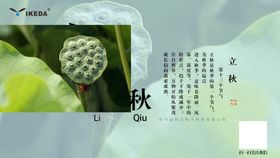 立秋二十四节气