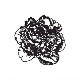 花简笔画