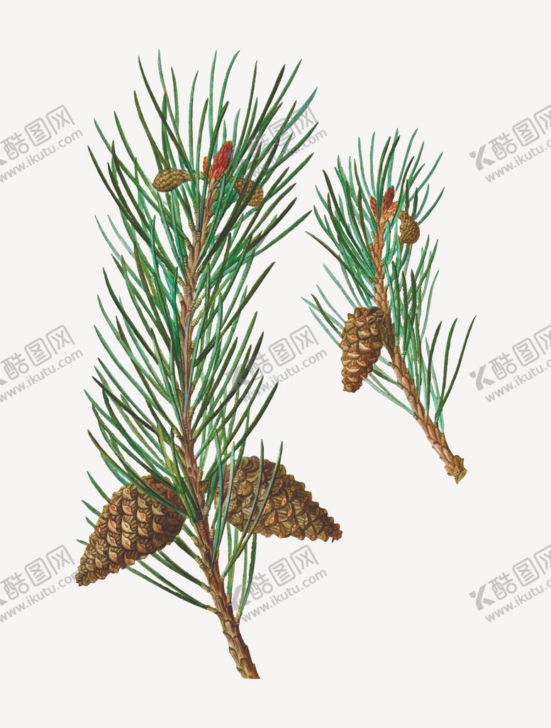 编号：60294307012306584206【酷图网】源文件下载-松果