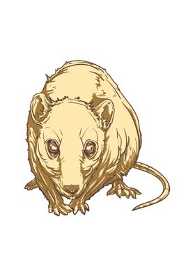 创意可爱卡通动物头像素材