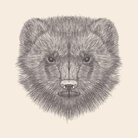 动物铅笔画