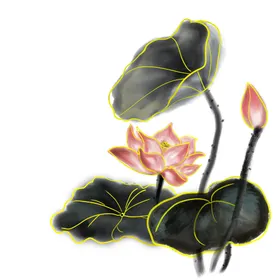荷花素材立夏背景立夏夏至