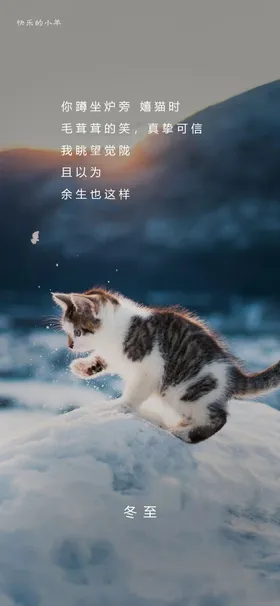 冬至节气海报地产小寒大寒