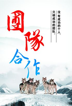 团队 合作 企业文化