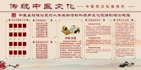 中医药知识宣传栏下载