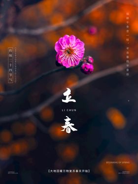 立春海报