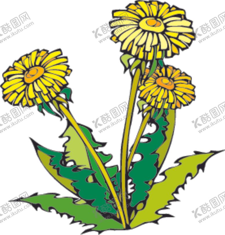 编号：24625209251748433012【酷图网】源文件下载-菊花