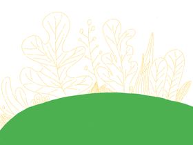 绿植插画设计背景撞色