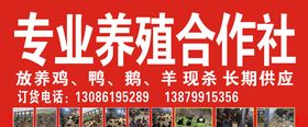 养殖鸡鸭广告牌