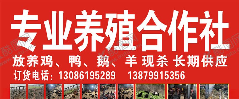 编号：18040807071535482735【酷图网】源文件下载-养殖鸡鸭广告牌