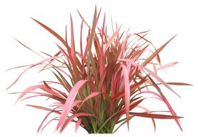 免扣扁平风花卉植物元素素材