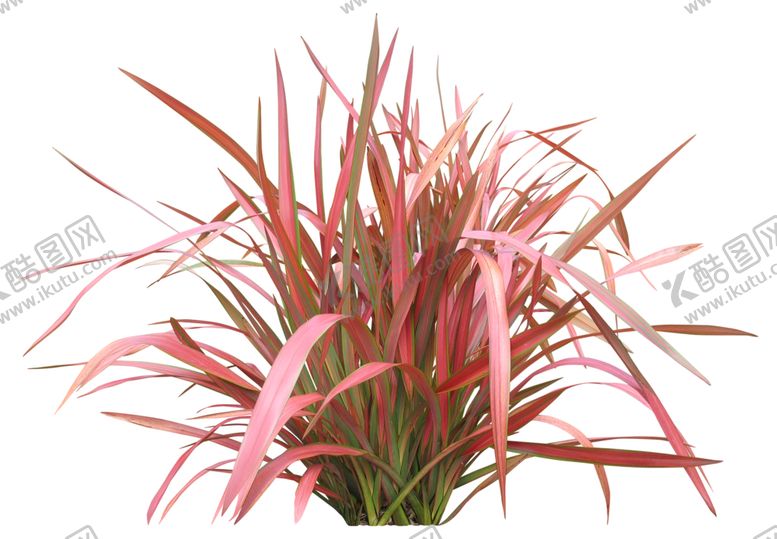 编号：35455509111927335903【酷图网】源文件下载-免扣花卉植物素材