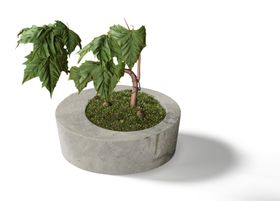 绿植盆栽