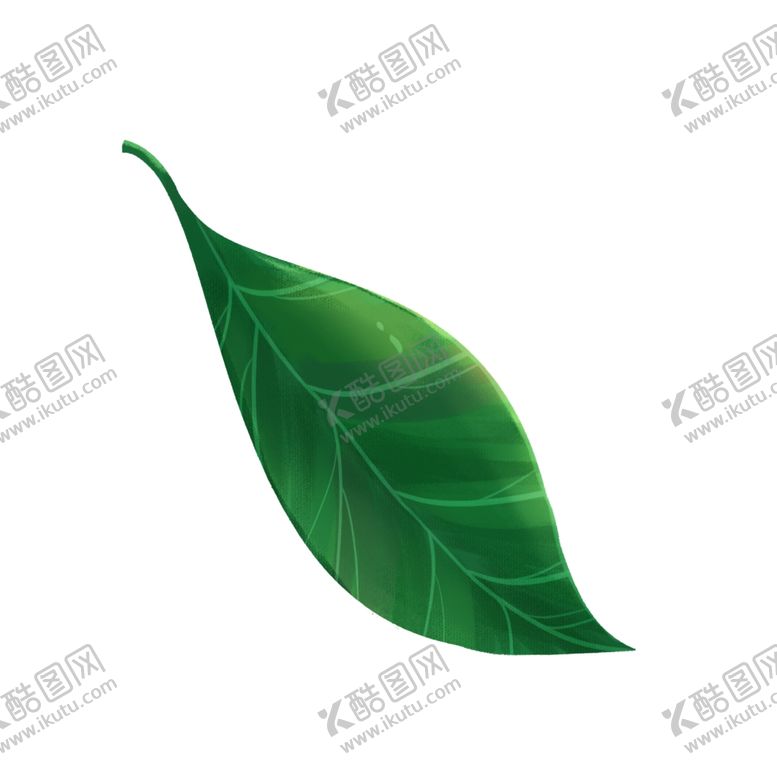 编号：74756709132321387536【酷图网】源文件下载-叶子