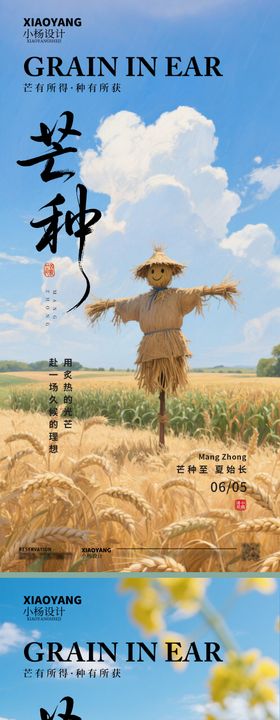 芒种海报