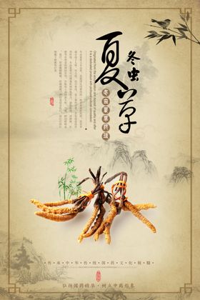 冬虫夏草药材国风复古宣传海报